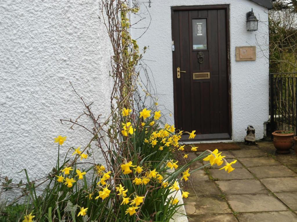 Harvest Home Guest House Tavistock  Luaran gambar